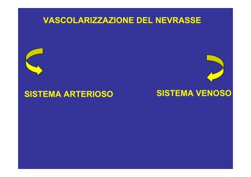 MENINGI-VASCOLARIZZAZIONE NEVRASSE, spiegazione pagine ...