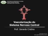 Vascularização do Sistema Nervoso Central - Dr. Gerardo Cristino