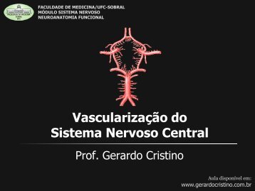 Vascularização do Sistema Nervoso Central - Dr. Gerardo Cristino