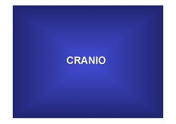 Scheletro del Cranio.ppt