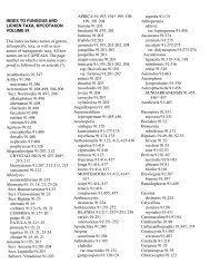 Index to Fungous and Lichen Taxa, volume 91 - Mycotaxon