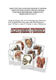 Анатомія голови - Кафедра анатомії людини - Сумський ...