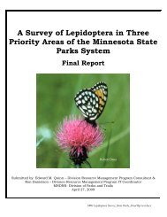 A survey of Lepidoptera in three priority areas of the Minnesota state ...