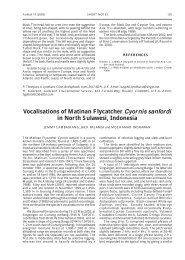 Vocalisations of Matinan Flycatcher Cyornis ... - Oriental Bird Club