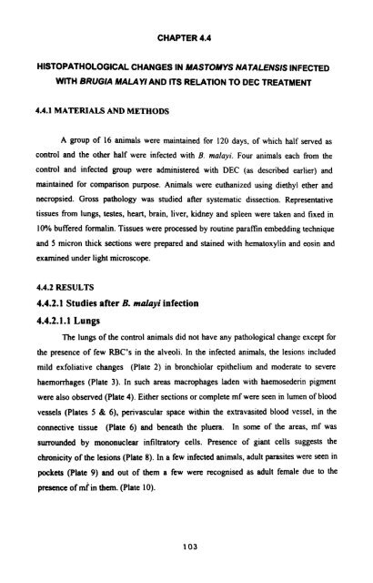 effect of infection of the filarial parasite brugia malayi - Pondicherry ...