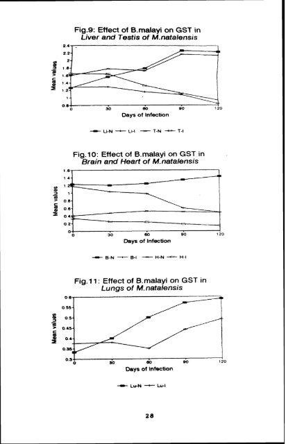 effect of infection of the filarial parasite brugia malayi - Pondicherry ...