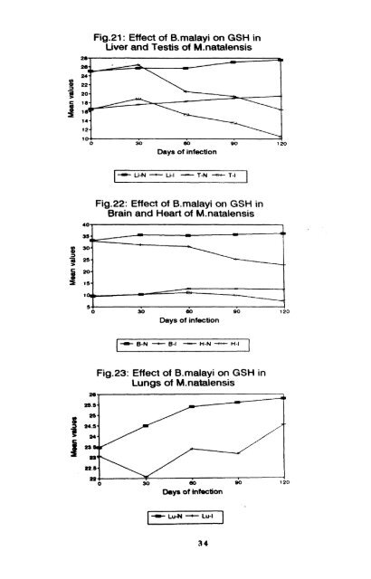 effect of infection of the filarial parasite brugia malayi - Pondicherry ...