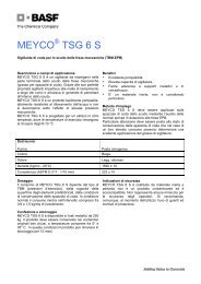 MEYCO TSG 6 S - BASF Construction Chemicals Italia S.p.A.