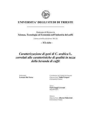Tesi PhD Del Terra.pdf - OpenstarTs
