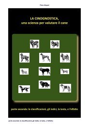 le classificazioni, gli indici, la testa, e l'olfaËo - TrovaVetrine.it