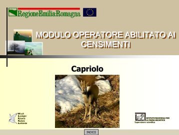 MODULO CENSITORE capriolo - St.E.R.N.A