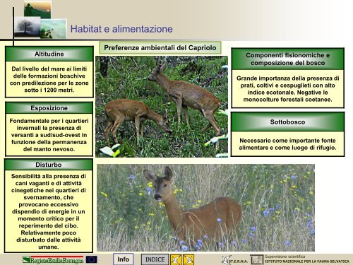 MODULO CENSITORE capriolo - St.E.R.N.A