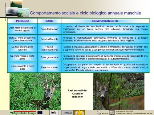 MODULO CENSITORE capriolo - St.E.R.N.A