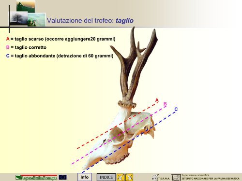 MODULO CENSITORE capriolo - St.E.R.N.A