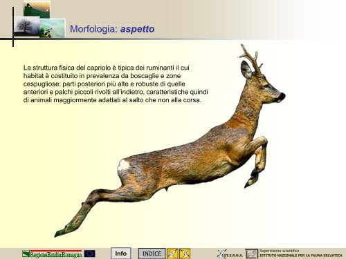 MODULO CENSITORE capriolo - St.E.R.N.A