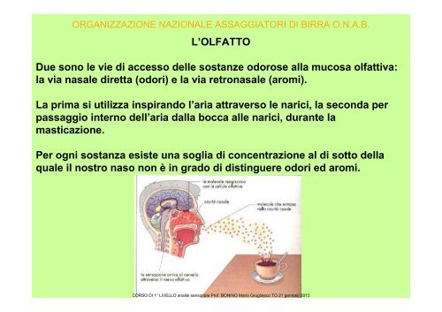 analisi sensoriale - ONAB