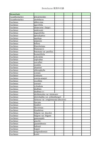 Bromeliaceae 鳳梨科名錄 Bromeliads Acanthostachys pitcairnioides ...