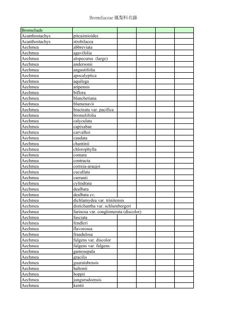 Bromeliaceae 鳳梨科名錄 Bromeliads Acanthostachys pitcairnioides ...