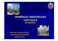 MINERALES INDUSTRIALES CAPITULO 6 - Universidad Arturo Prat