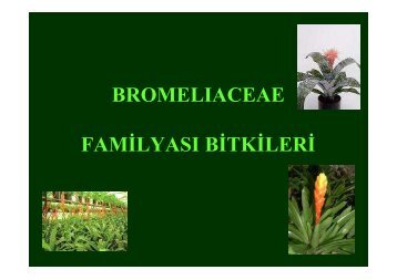 Sus-bitkileri-3.ders - BahceBitkileri.org