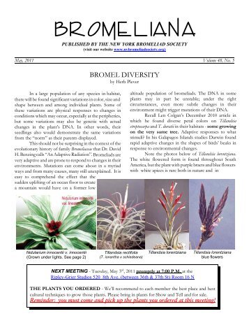 C:\Users\Herb\MY FILES\BROMELIANA RECENT\May-pg1.11.wpd
