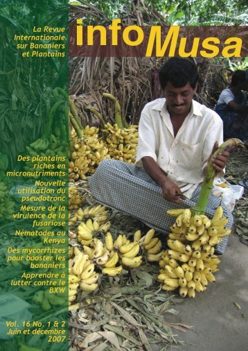 la revue internationale sur bananiers et plantains - Bioversity ...