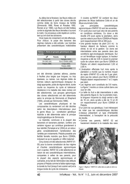 la revue internationale sur bananiers et plantains - Bioversity ...