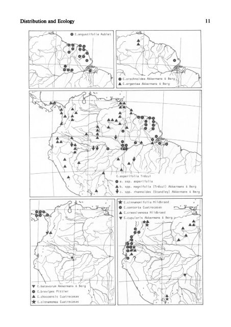 Cecropiaceae: Coussapoa and Pourouma, with an ... - CNCFlora