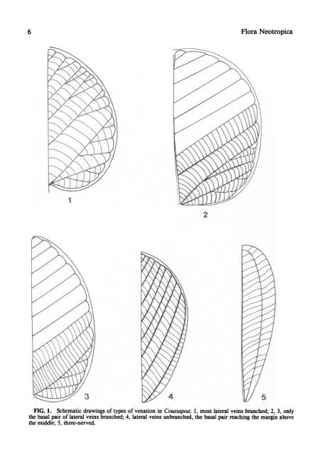 Cecropiaceae: Coussapoa and Pourouma, with an ... - CNCFlora