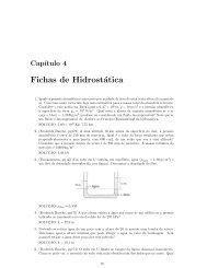 Fichas de Hidrostática - Aif.estt.ipt.pt