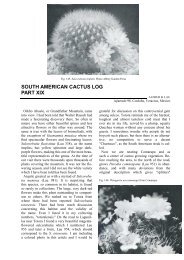 South American Cactus Log (part XIX)