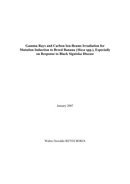 Gamma Rays and CarbonIon-Beams Irradiation for Mutation ...