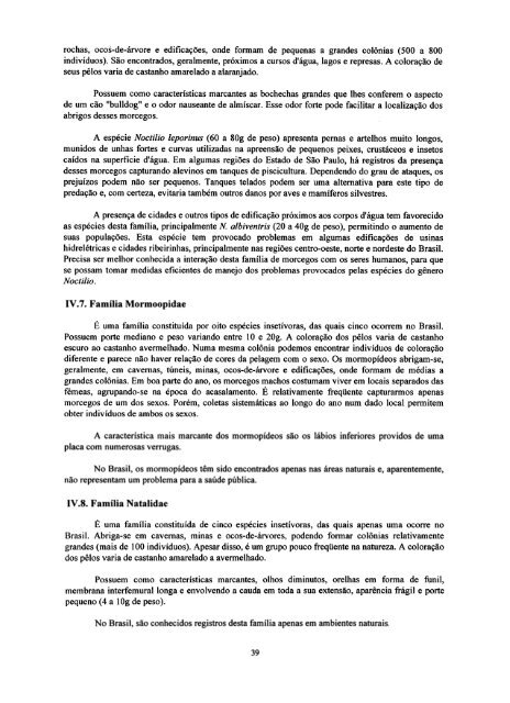 Morcegos em áreas urbanas e rurais - Governo do Estado do Pará