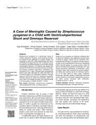 A Case of Meningitis Caused by Streptococcus pyogenes in a Child ...