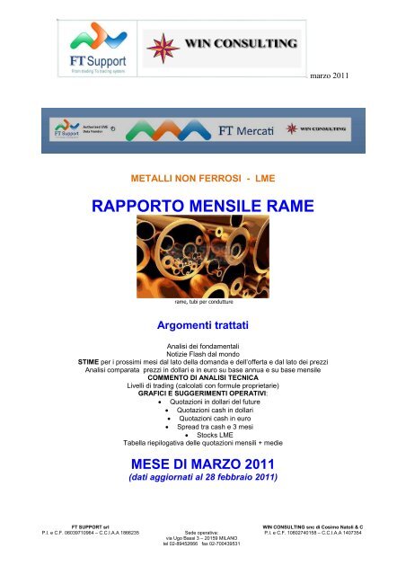 RAPPORTO MENSILE RAME - FT Mercati