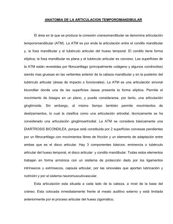 ANATOMIA DE LA ARTICULACION TEMPOROMANDIBULAR El ...