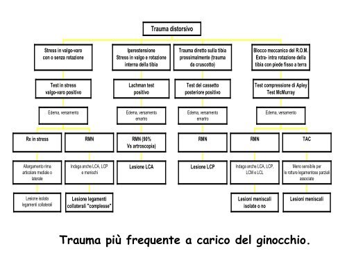 ginocchio 2.pdf - Università degli Studi di Urbino