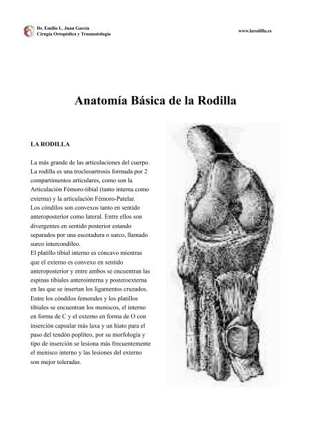 Rodilla. Anatomía.pdf - Dr. Emilio L. Juan García