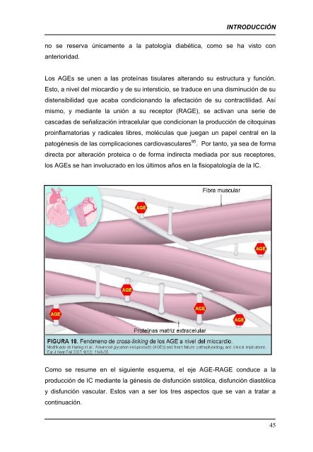 INTRODUCCIÓN: REVISIÓN CRITICA DEL PROBLEMA