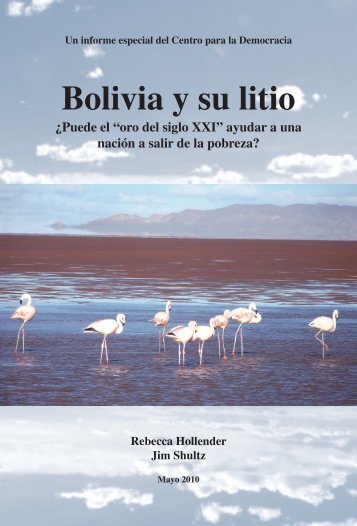 Bolivia y su litio ¿Puede el “oro del siglo XXI”