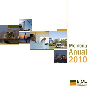 Memoria Anual y Estados Financieros E-CL 2010