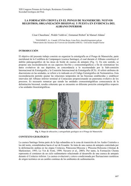 la formación chonta en el pongo de manseriche: nuevos ... - Ingemmet