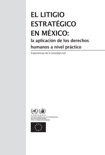 El litigio estratégico en México: La aplicación de los ... - Hchr.org.mx