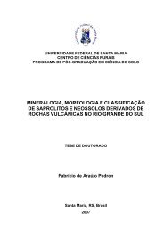 MINERALOGIA, MORFOLOGIA E CLASSIFICAÇÃO DE ... - UFSM