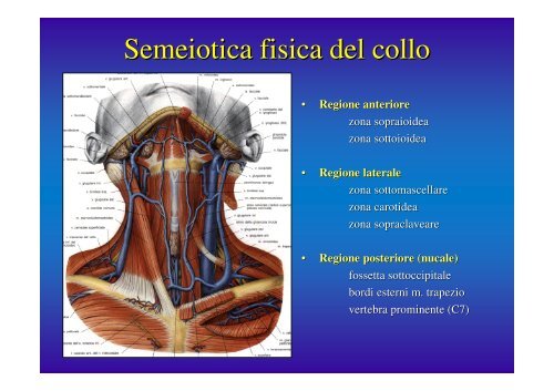 Semeiotica fisica del collo - Rapidclouds