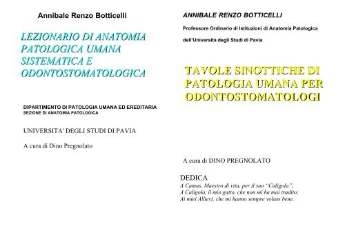 contorni patologia neoplasia intraepiteliale prostatica di alto grado
