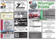 Blaettle.pdf (1,00)MB - Gemeinde Woringen