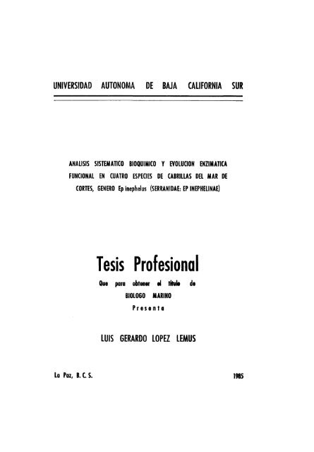 Tesis Profesional