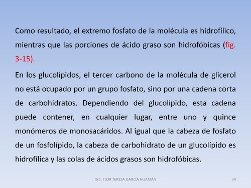 Semana 3 - Carbohidratos y lípidos - Flor García Huamán