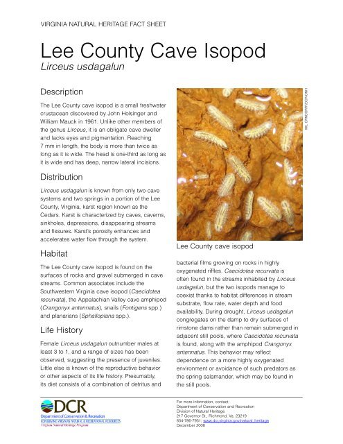 Lee County Cave Isopod - Virginia Department of Conservation and ...